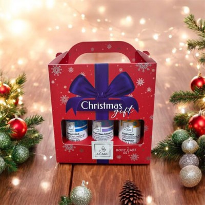 4CARE CHRISTMAS GIFT BOX (SHOWER+SHAMPOO+B.LOTION)