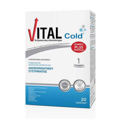 VITAL COLD 20CAP ΚΡΥΟΛΟΓΗΜΑ